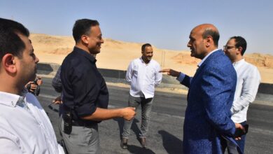 محافظ أسيوط: بدء إجراءات إنشاء مأوى للكلاب الضالة بطريق المطار.