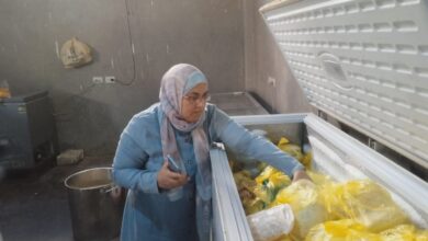 تموين المنيا يحرر 3517 محضرا خلال مايو لضبط الأسواق والمخابز
