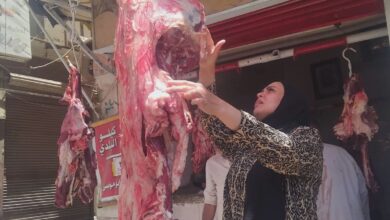 بيطري المنيا ضبط ومصادرة نصف طن لحوم غير صالحة