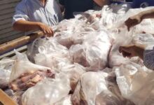 تموين المنيا يحرر 297 مخالفة ويضبط 820 كيلو دواجن فاسدة