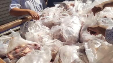 تموين المنيا يحرر 297 مخالفة ويضبط 820 كيلو دواجن فاسدة