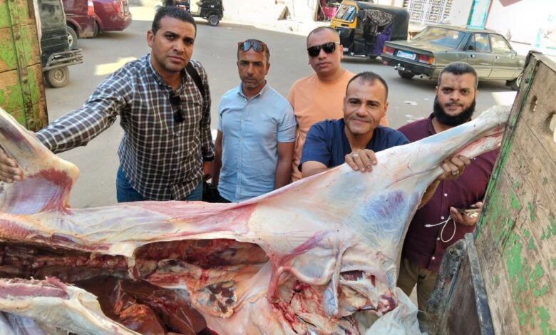 ضبط عجل مذبوح خارج المجازر وغير صالح للاستهلاك الآدمي بمنفلوط