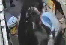 الداخلية :ضبط المتهمين في واقعة تعد وأفعال خادشة للحياء بالدقهلية