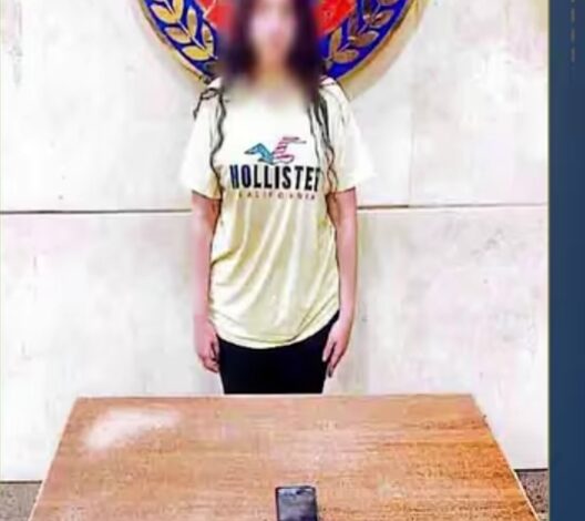 ضبط صانعة محتوى لنشرها مقاطع فيديو خادشة للحياء بالجيزة