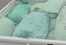 ضبط 20 طن دقيق في حملات تموينية مكثفة على المخابز خلال 24 ساعة
