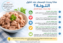 تناول التونة