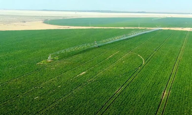 الدلتا الجديدة.. مشروع عملاق لزيادة الرقعة الزراعية وتقليل الاستيراد