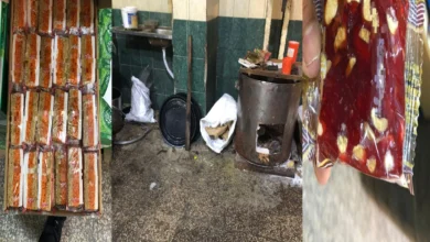 قبل وصولها إلى الأسواق.. ضبط مئات الكيلوغرامات من حلوى المولد داخل مصنع مخالف بالقليوبية