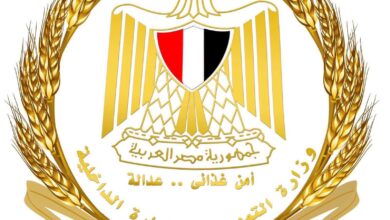 مراجعة وتنقية بطاقات التموين لتحقيق العدالة الاجتماعية..اعرف التفاصيل