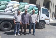 محافظ أسيوط: استلام 242 ألفًا و500 طن من القمح المحلي منذ انطلاق موسم التوريد 2026