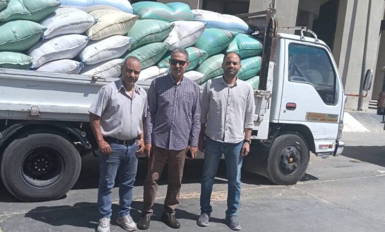 محافظ أسيوط: استلام 242 ألفًا و500 طن من القمح المحلي منذ انطلاق موسم التوريد 2026
