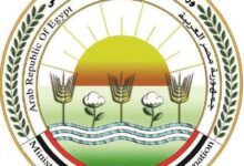​"الزراعة" تسجل 5 أصناف جديدة من الشعير والخضار لدعم الأمن الغذائي