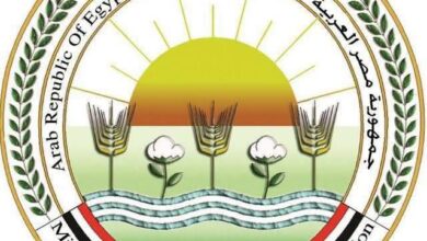 "الزراعة" تسجل 5 أصناف جديدة من الشعير والخضار لدعم الأمن الغذائي