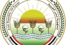 ​استراتيجية وطنية لإدارة "حيوانات الشارع": حظر القتل الجماعي والسموم قانونياً