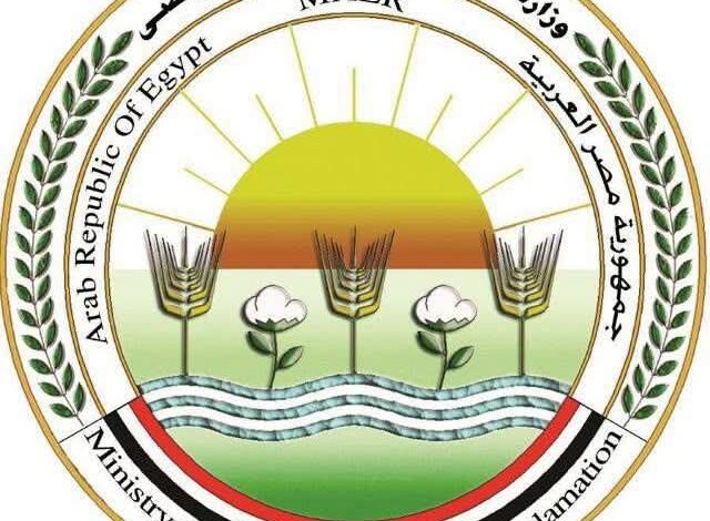استراتيجية وطنية لإدارة "حيوانات الشارع": حظر القتل الجماعي والسموم قانونياً