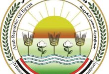 ​بالتحسين الوراثي والتلقيح الاصطناعي.. "الزراعة" تدعم 39 ألف رأس ماشية في يونيو