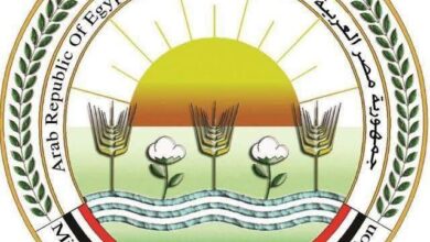 حماية للثروة الحيوانية..الزراعة تنفذ 21 ألف زيارة ميدانية ضمن الترصد الوبائي