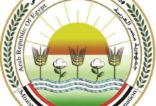 إنجازات "الزراعة" بالنصف الأول: 11 ألف تصريح وتأهيل 1600 متدرب للمبيدات