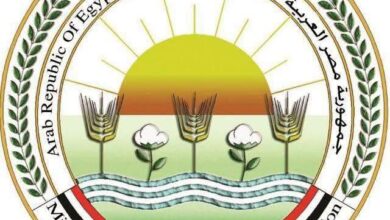إنجازات "الزراعة" بالنصف الأول: 11 ألف تصريح وتأهيل 1600 متدرب للمبيدات