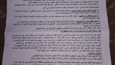 مزارعو بني عبيد بأبو قرقاص يستغيثون: تأخر مستحقات توريد البنجر يهدد الأسر ويعطل الموسم الزراعي