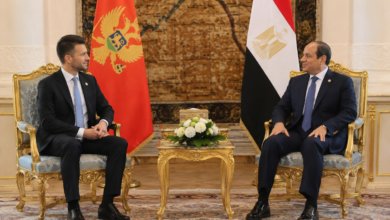 السيسي