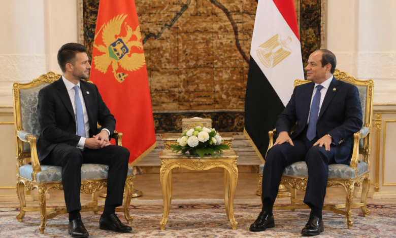 السيسي