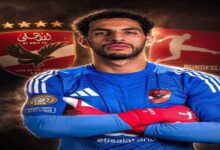 مصطفى شوبير