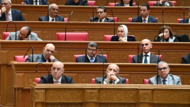 هل تنقذ الحكومة المصانع الصغيرة؟.. تحرك برلماني يطالب بخطة عاجلة لتمويل القطاع الصناعي