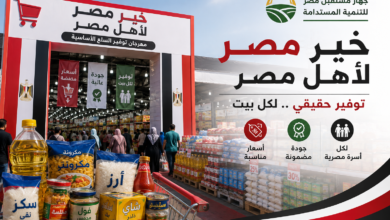 مهرجان «خير مصر لأهل مصر»