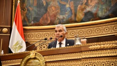 رئيس مجلس الشيوخ