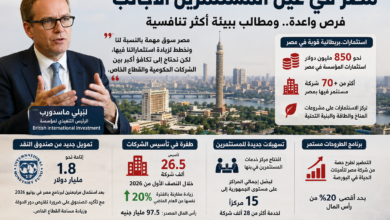 ليزلي مآسْدورب، الرئيس التنفيذي لمؤسسة British International Investment البريطانية