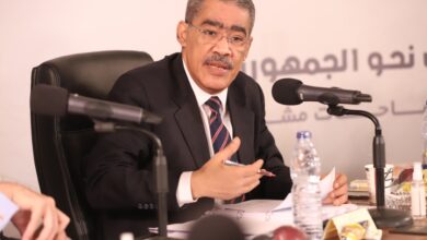 الدكتور ضياء رشوان - وزير الإعلام