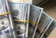 سعر الدولار اليوم الأربعاء.. كم سجلت العملة الأمريكية أمام الجنيه في البنوك؟