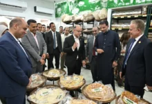 3 مصانع في بنها تكشف مفاجآت عن الإنتاج والتصدير.. استثمارات بالملايين وفرص عمل جديدة