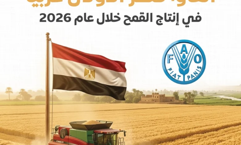 مصر تتصدر عربيًا.. أرقام إنتاج القمح في 2026 تكشف تحولًا لافتًا في خريطة الغذاء