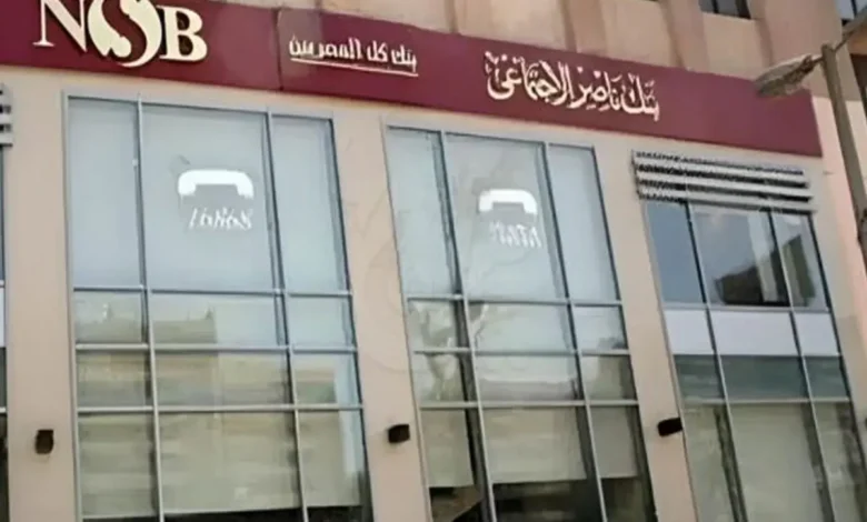من القمح إلى النخيل.. تحركات جديدة من بنك ناصر لدعم الزراعة وتعزيز الأمن الغذائي