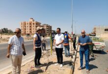 الشيخ زويد تطلق مبادرة لتشجير وتجميل المدينة ضمن «100 مليون شجرة»