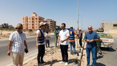 الشيخ زويد تطلق مبادرة لتشجير وتجميل المدينة ضمن «100 مليون شجرة»