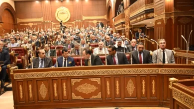 رقم واحد يكشف كل ما هو مسجل باسمك.. مقترح برلماني جديد لحماية المواطنين من انتحال الهوية