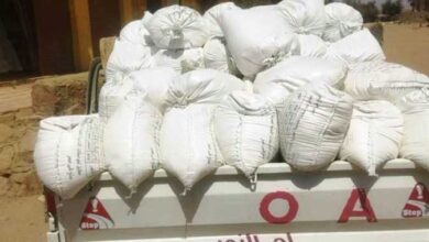 حملات تموينية بشمال سيناء تضبط 2 طن عنب و45 جوال دقيق و202 كجم سلع منتهية الصلاحية