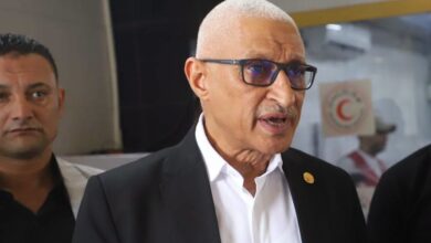 الشيخ عبدالله جهامة: زيارة الوزير البريطاني لمخازن مساعدات العريش تعكس أهمية الدور المصري في دعم غزة