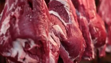 اللحوم تواصل الضغط على جيوب المصريين.. تحرك برلماني يطالب بحل عاجل ودعم المربين
