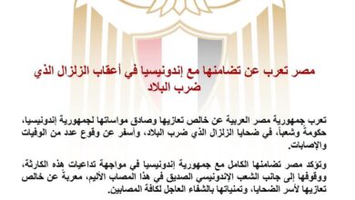 ​مصر تتضامن مع إندونيسيا إثر زلزال مدمر ضرب البلاد