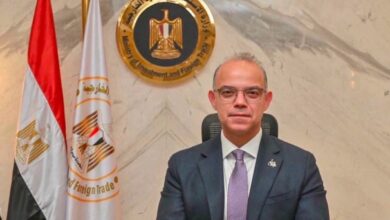 ​168 مليون دولار.. صفقات تصديرية لمصر مع الصين عبر «التمثيل التجاري»