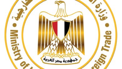 ​مصر تُطلق بعثة تعليمية إلى نيجيريا لتعزيز صادرات الخدمات