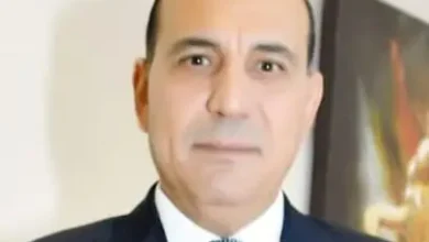 علاء عبدالله يكتب: من نفحات المولد إلى صون الوطن.. رسائل السيسي ترسم طريق مصر بين الصبر والقوة والعمل