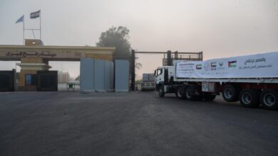 903 أطنان مساعدات إماراتية إلى غزة عبر 74 شاحنة ضمن عملية «الفارس الشهم 3»