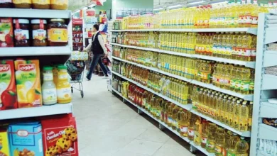 من القمح إلى رغيف الخبز.. كيف تحاصر القوانين التلاعب بالسلع الاستراتيجية؟