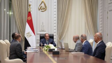  السيسي