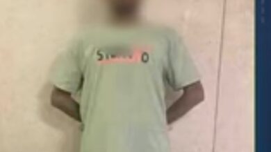 كذبة المقبرة الأثرية في أسوان.. عامل يفبرك فيديو لزيادة المشاهدات وتحقيق الأرباح